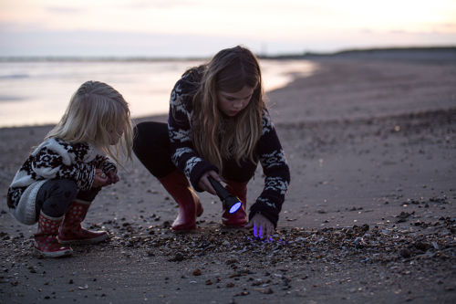 Vejers Strand Camping Natur Strand Ravlygte