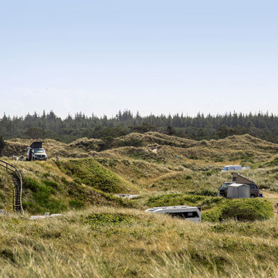 Vejers Strand Camping Pladsen Overblik