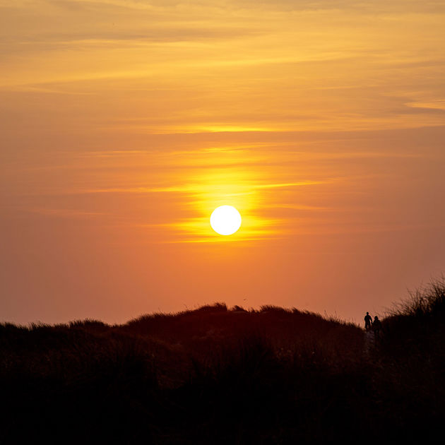 Vejers Strand Camping Natur Klitter Solnedgang