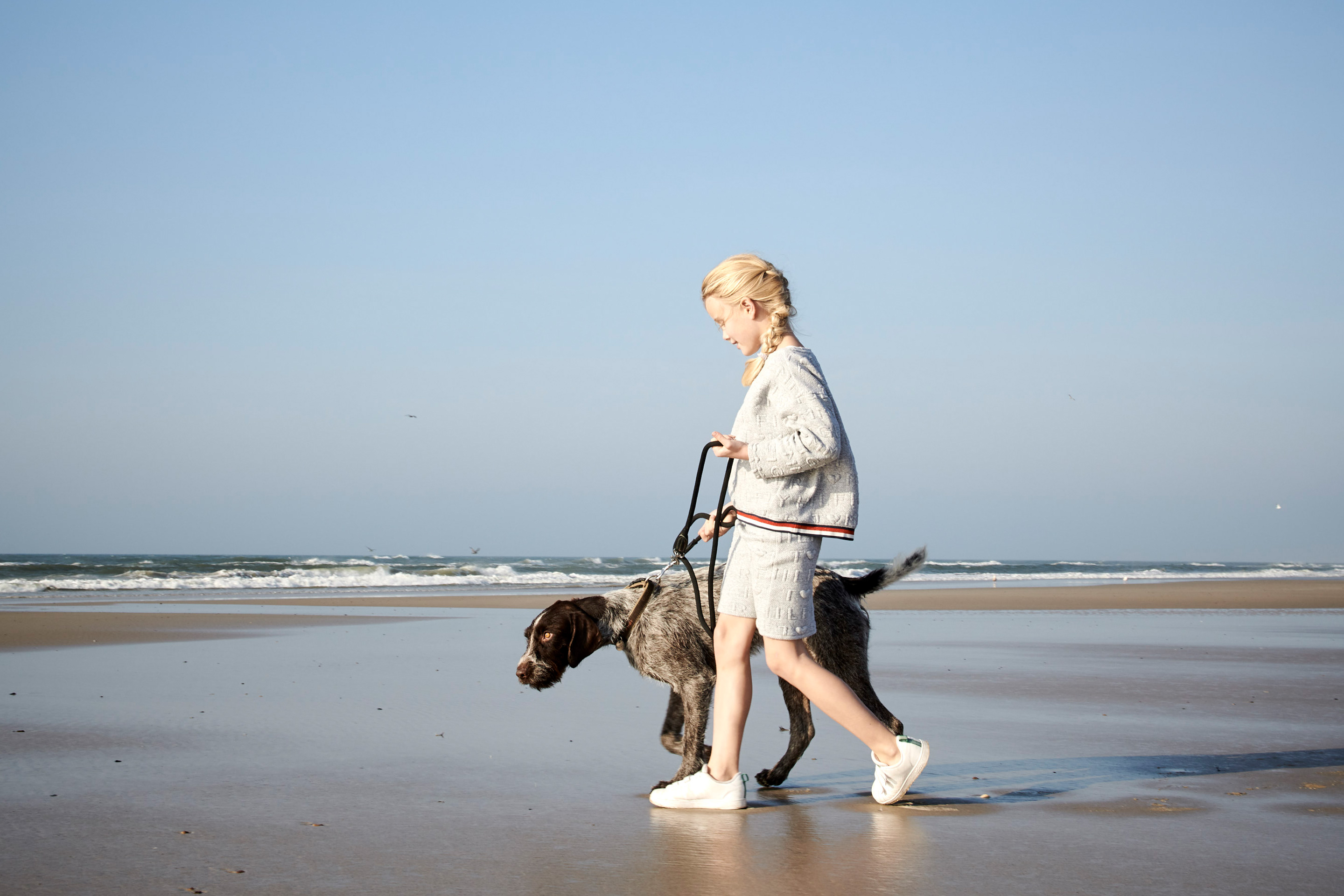 Vejers Strand Camping Strand Hund