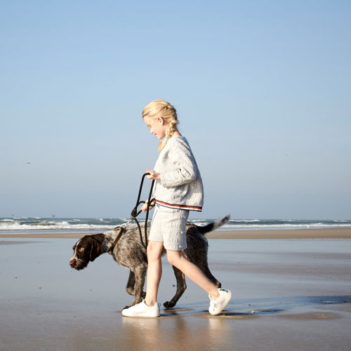 Vejers Strand Camping Strand Hund