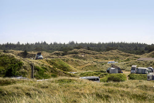 Vejers Strand Camping Pladsen Natur Overblik