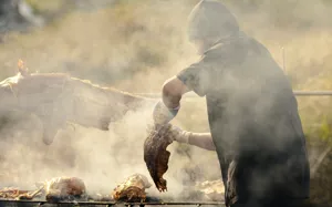 Vejers Strand Camping Van Life 2026 Gris