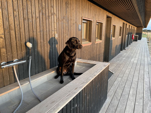 Vejers Strand Camping Pladsen Facilitet Hund Hundebad
